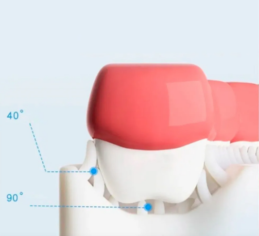 Cepillo Dental Infantil Tipo U